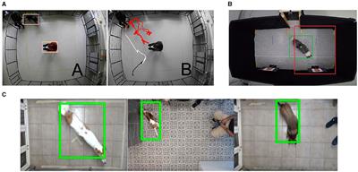 Automation in canine science: enhancing human capabilities and overcoming adoption barriers